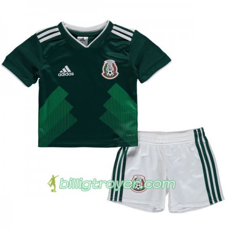 Billige Fotballdrakter Mexico Barn VM 2018 Hjemmedraktsett