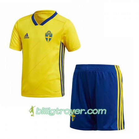 Billige Fotballdrakter Sverige Barn VM 2018 Hjemmedraktsett