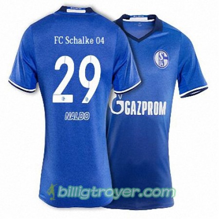 Billige Fotballdrakter FC Schalke 04 NALDO 29 Hjemmedraktsett 2017/18 Kortermet