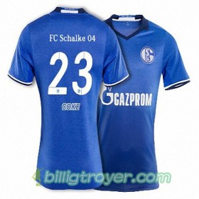 Billige Fotballdrakter FC Schalke 04 COKE 23 Hjemmedraktsett 2017/18 Kortermet
