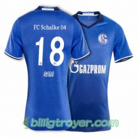 Billige Fotballdrakter FC Schalke 04 SAM 18 Hjemmedraktsett 2017/18 Kortermet