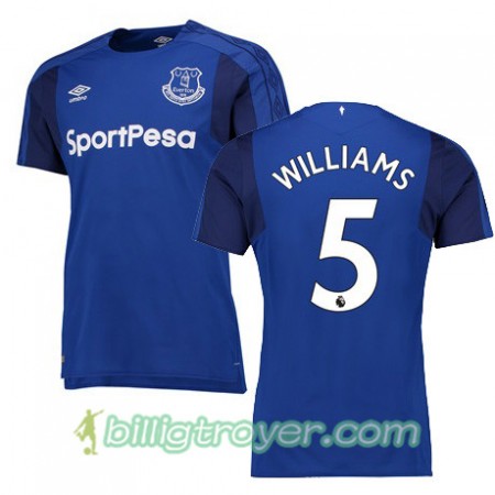 Billige Fotballdrakter Everton WILLIAMS Hjemmedraktsett 2017/18 Kortermet