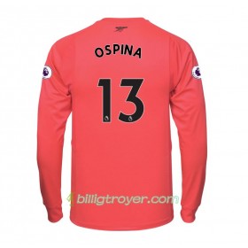 Billige Fotballdrakter Arsenal Keeper David Ospina 13 Bortedraktsett 2017/18 Langermet