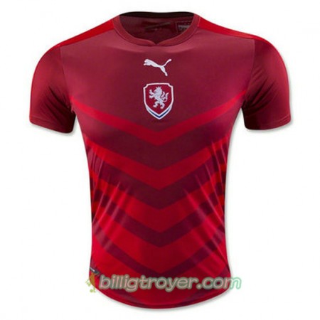 Billige Fotballdrakter Tsjekkia Hjemmedraktsett Euro 2016