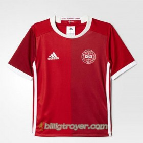 Billige Fotballdrakter Danmark Hjemmedraktsett Euro 2016