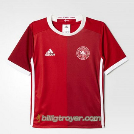 Billige Fotballdrakter Danmark Hjemmedraktsett Euro 2016