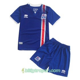 Billige Fotballdrakter Island Barn Hjemmedraktsett Euro 2016