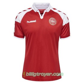 Billige Fotballdrakter Danmark Hjemmedraktsett 2017/18 Kortermet