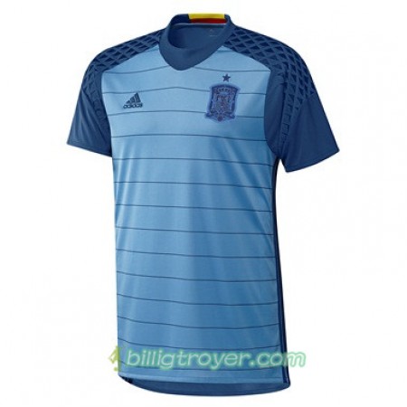 Billige Fotballdrakter Spania Keeper drakt Euro 2016