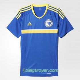 Billige Fotballdrakter Bosnia-Hercegovina Hjemmedraktsett 2016/17 Kortermet