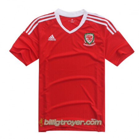 Billige Fotballdrakter Wales Hjemmedraktsett Euro 2016